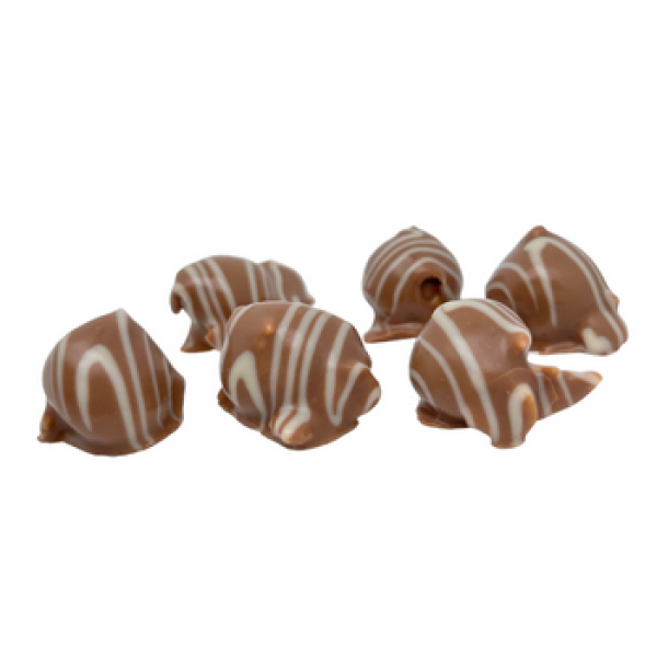 Produktbild Macadamia Nuss in Vollmilch-Schokolade und weißer Schokolade EH Chocoladen